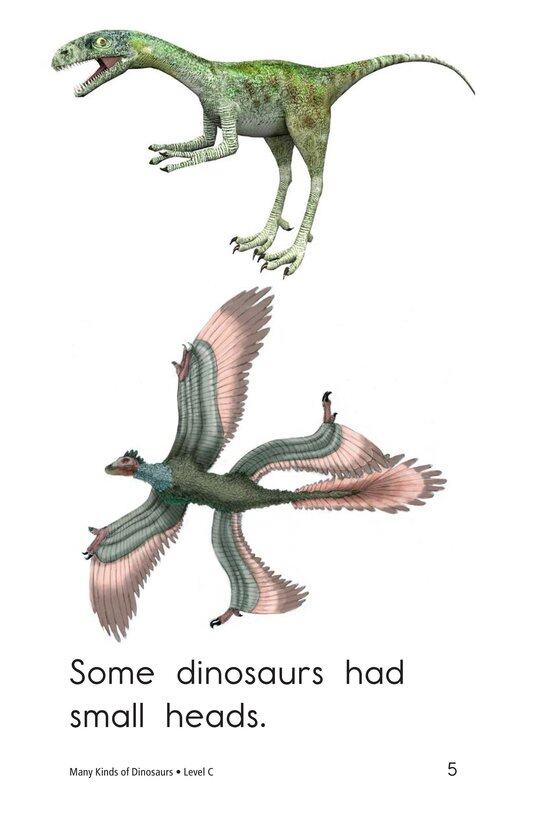 Many Kinds of Dinosaurs绘本故事第5页