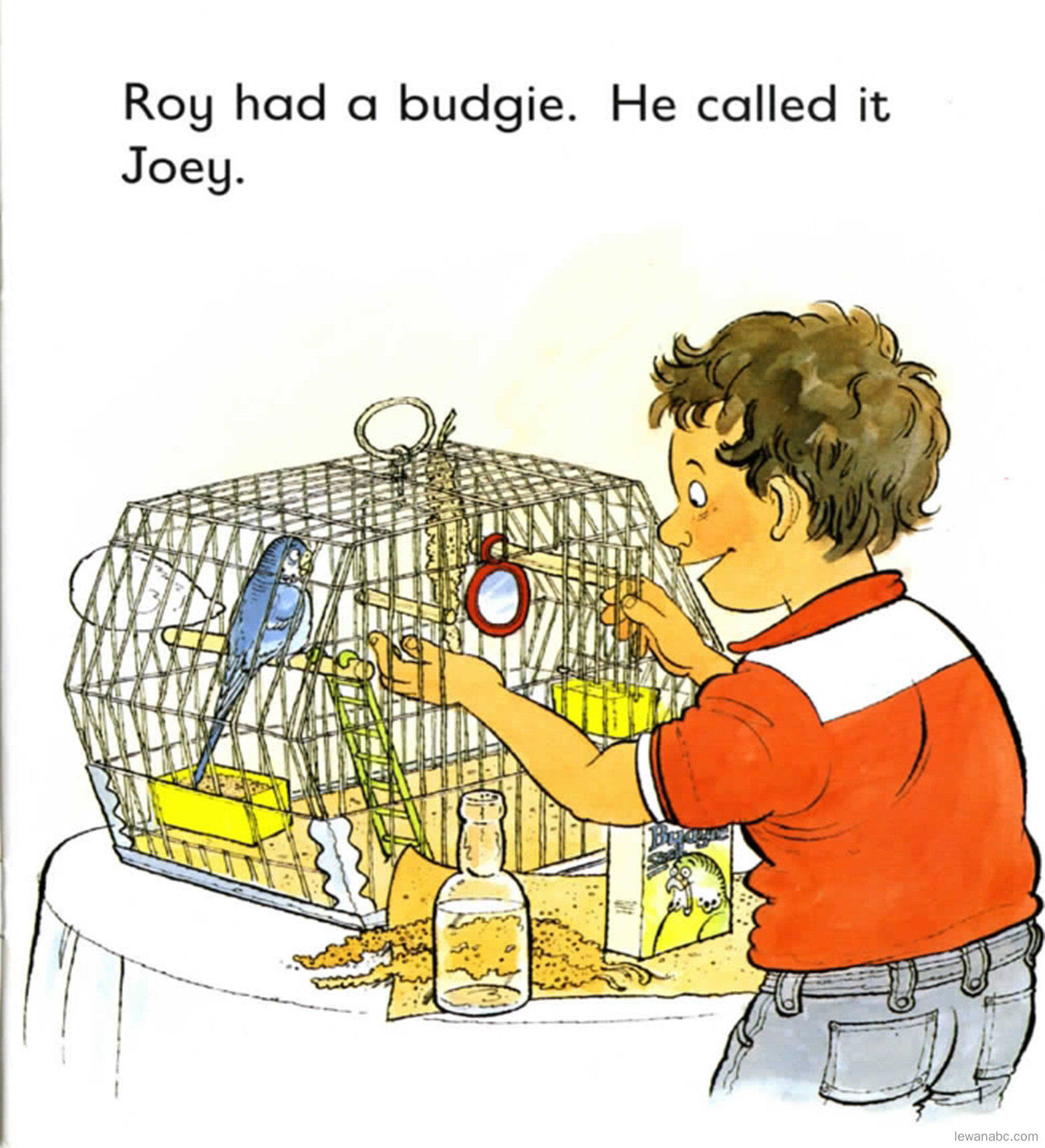 Roy and the Budgie绘本故事第3页