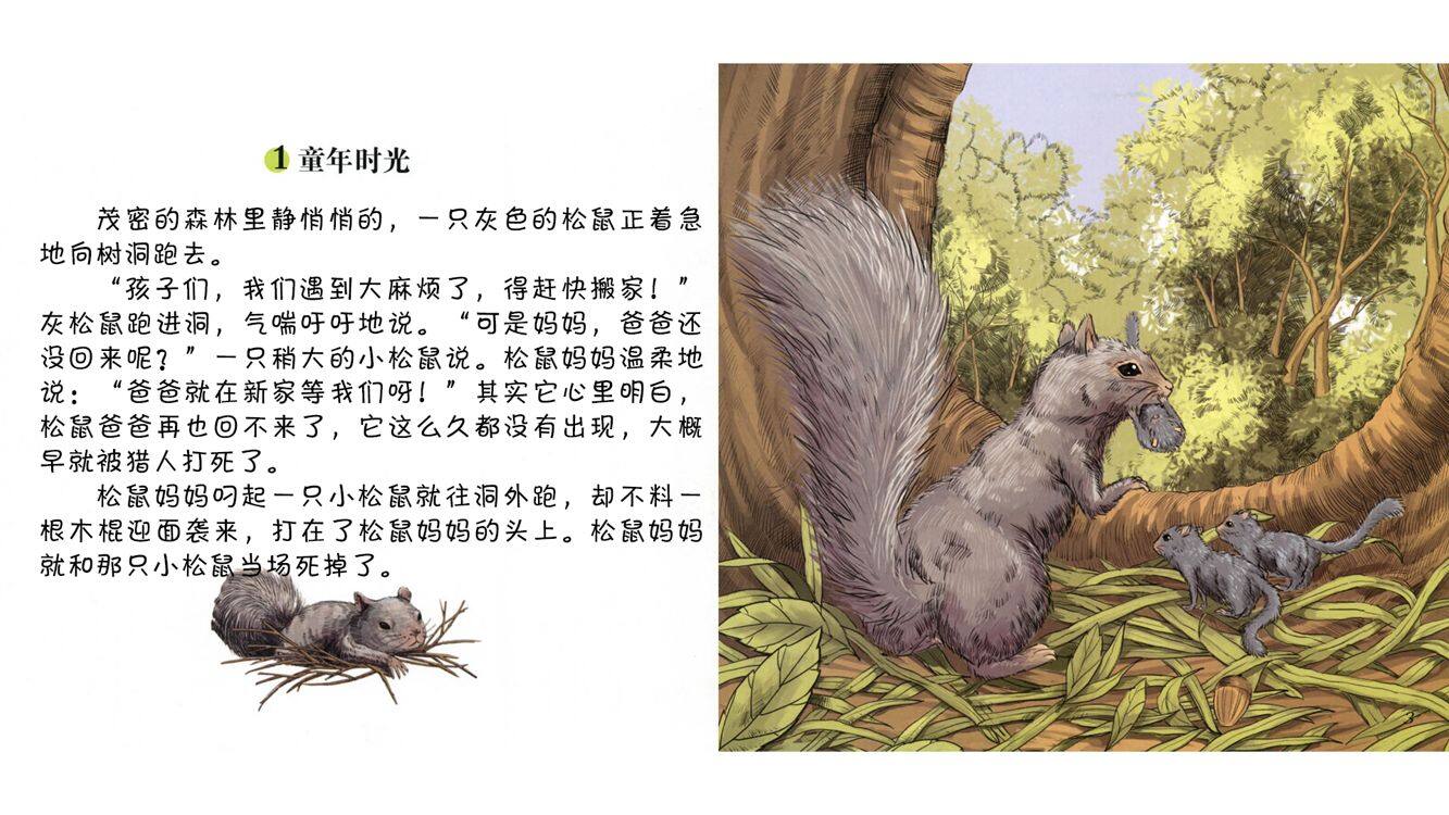 活泼的松鼠旗尾巴绘本故事第4页