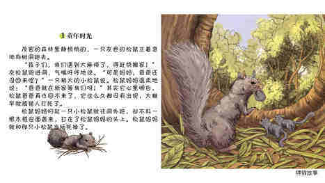 活泼的松鼠旗尾巴绘本故事第4页