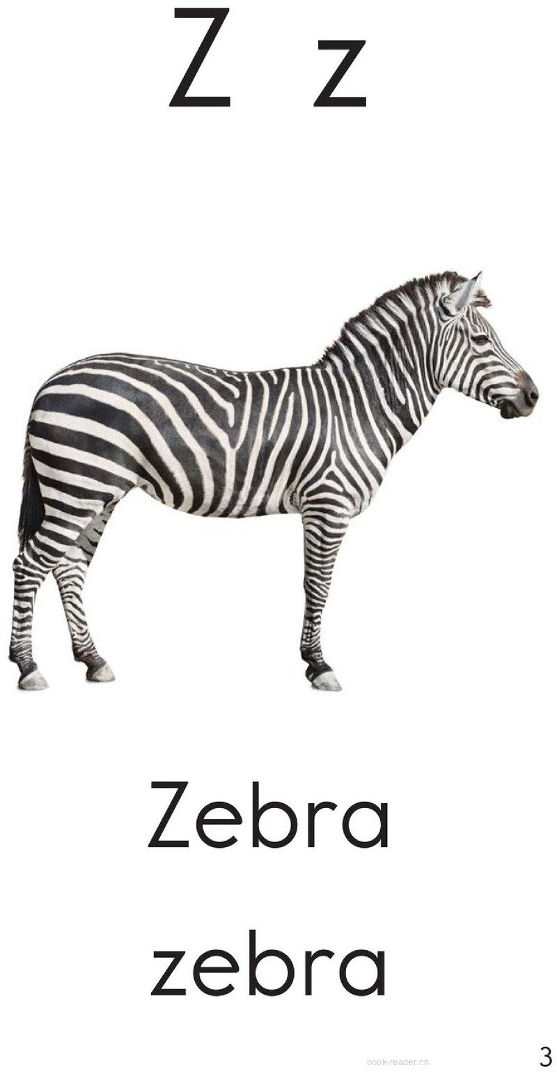 Letter Z绘本故事第3页