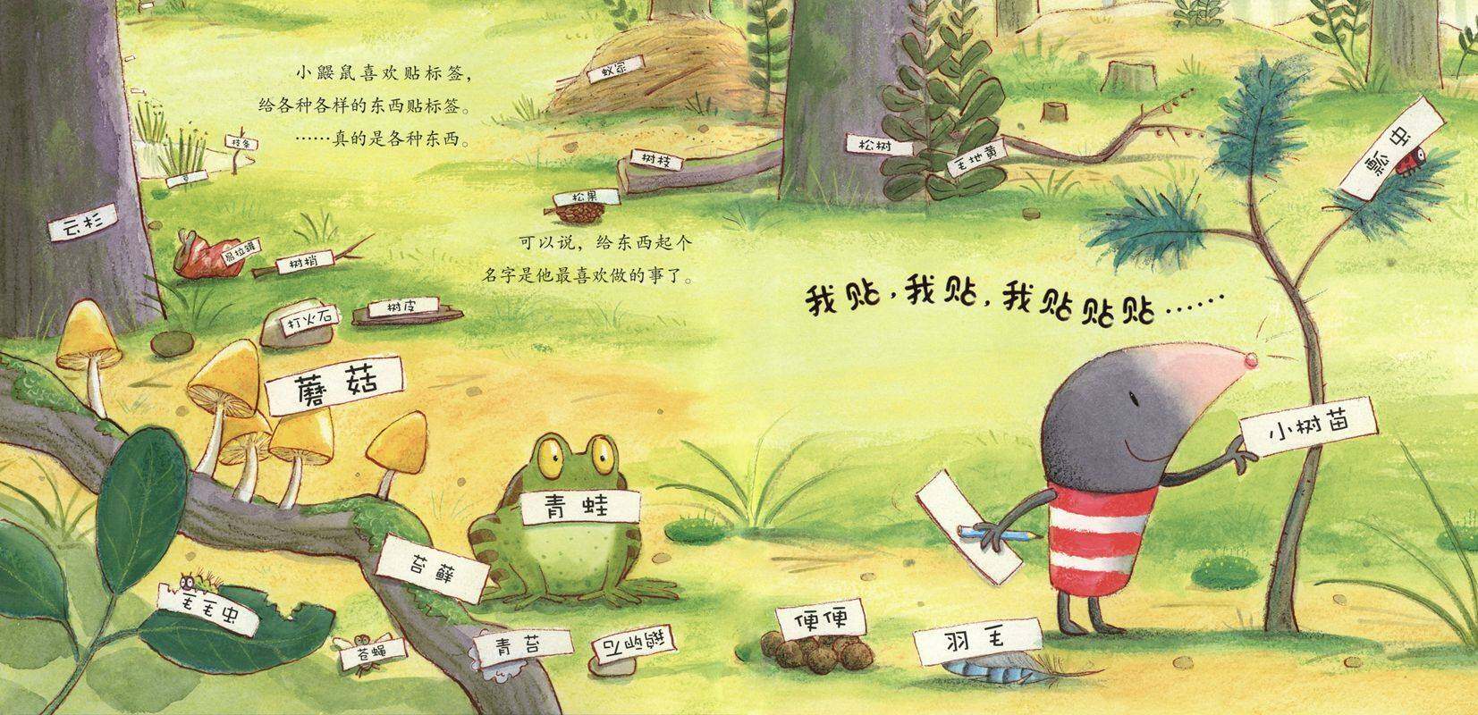 暖房子经典绘本系列·第八辑·奇妙篇：危险的小鳄鱼绘本故事第2页