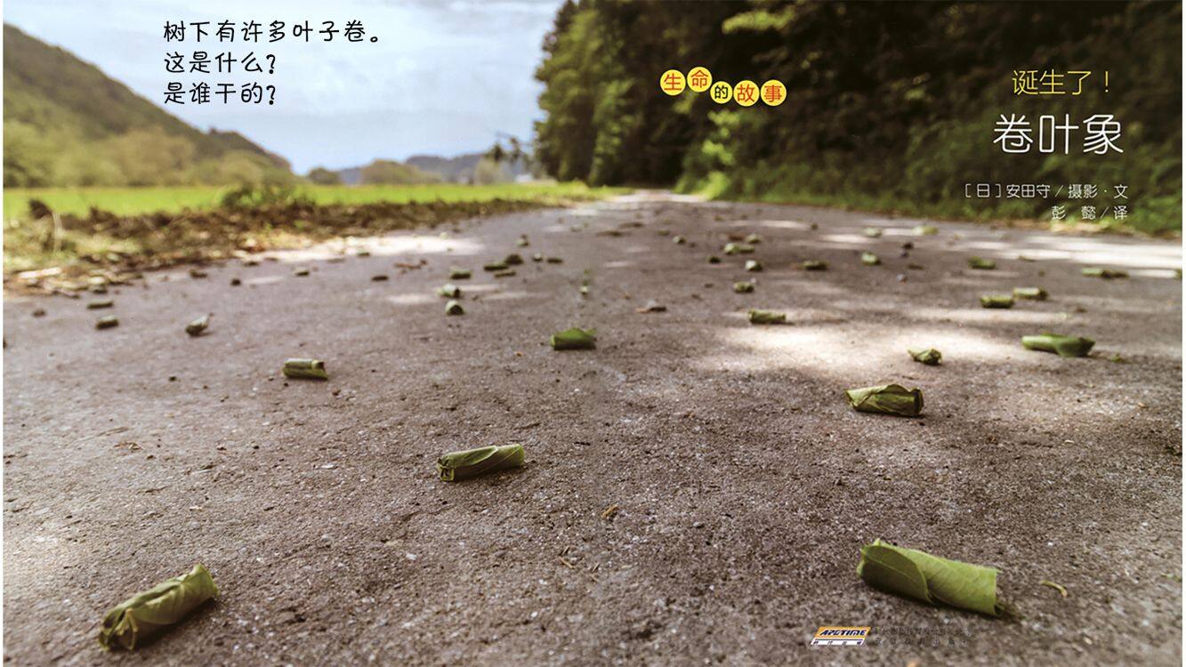 诞生了！卷叶象绘本故事第4页