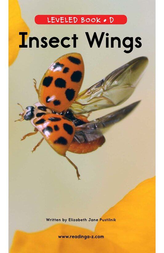 Insect Wings绘本故事第2页