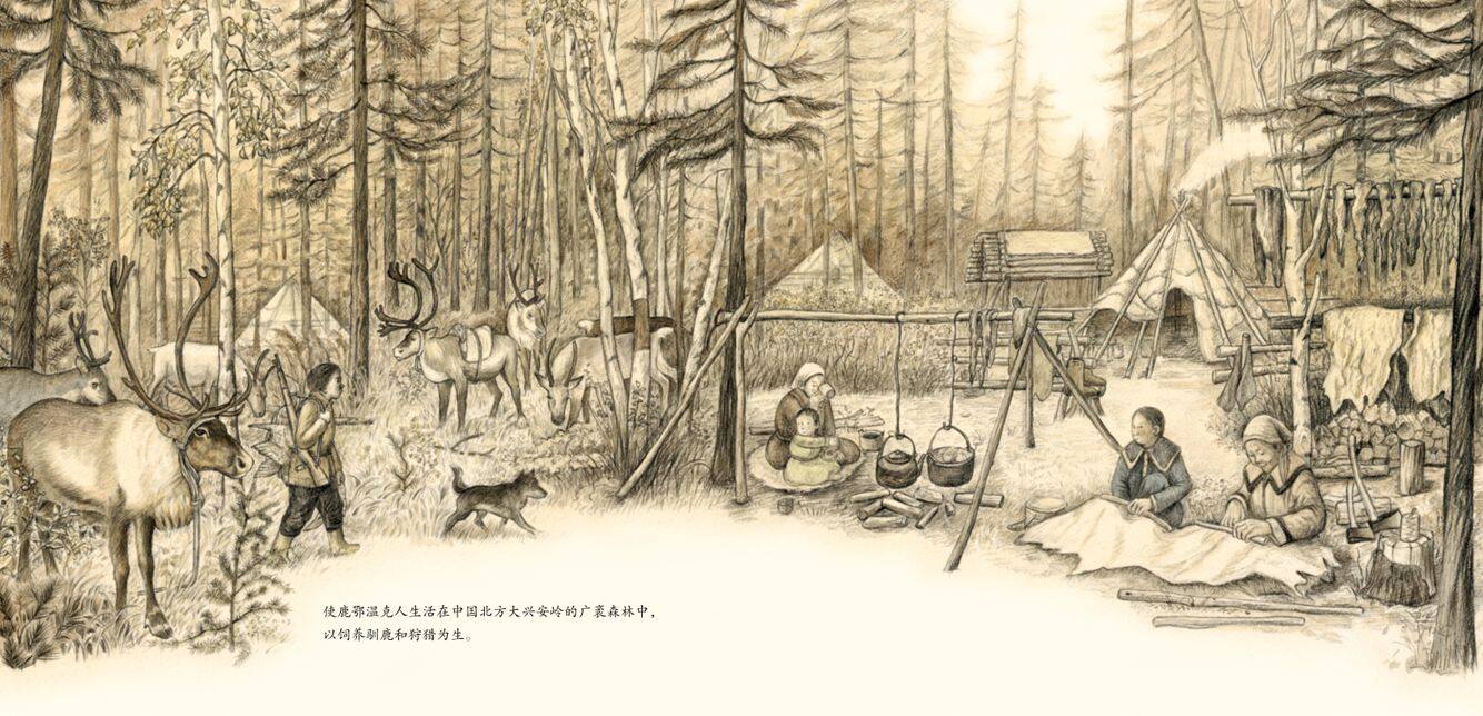 鄂温克的驼鹿绘本故事第3页