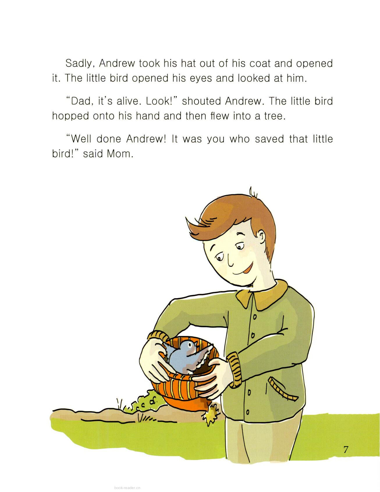 Andrew and the Little Bird绘本故事第3页