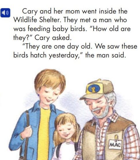 A Wildlife Buffet绘本故事第5页