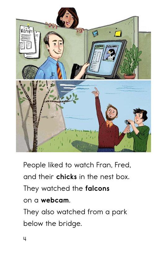 City Falcons绘本故事第4页