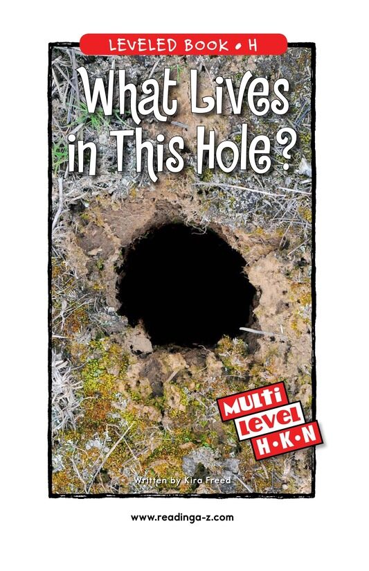 What Lives in This Hole绘本故事第2页