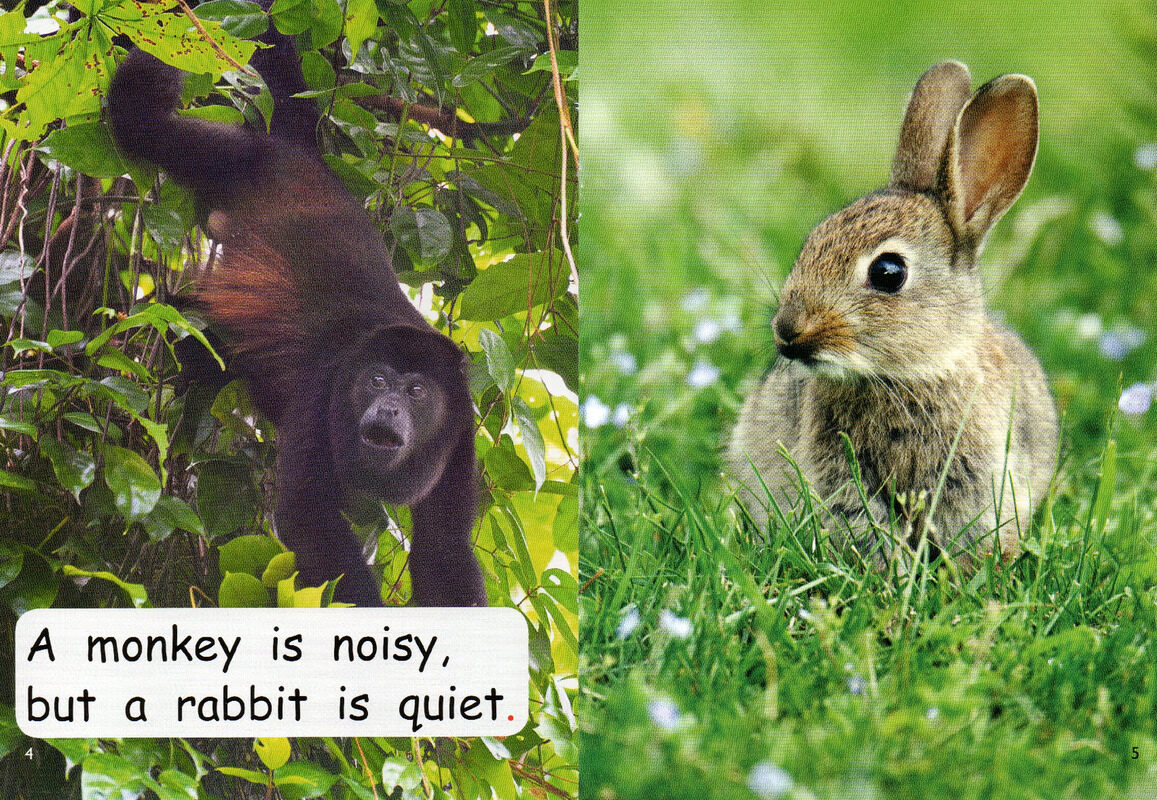 this or that绘本故事第4页