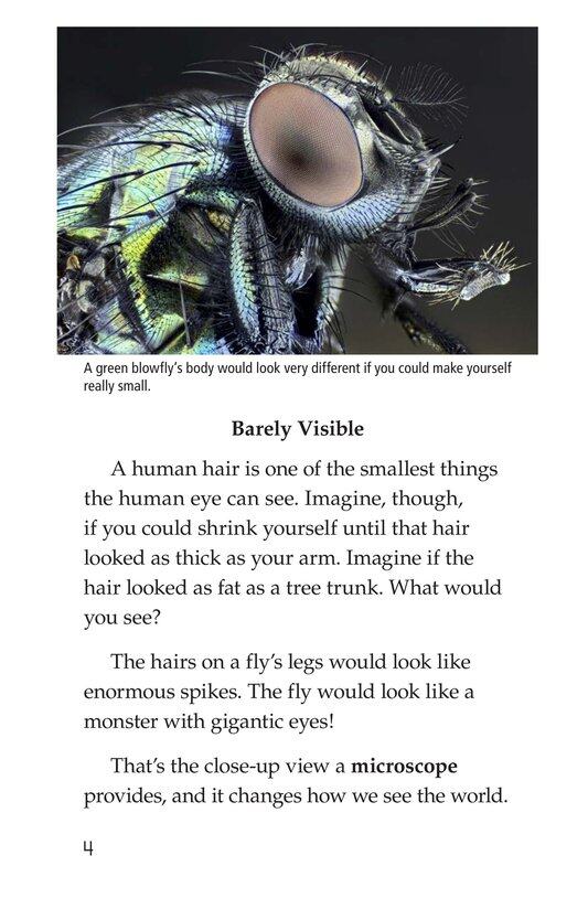 Through a Microscope绘本故事第3页