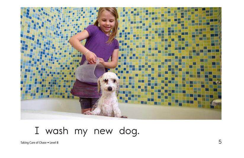 Taking Care of Chase绘本故事第5页