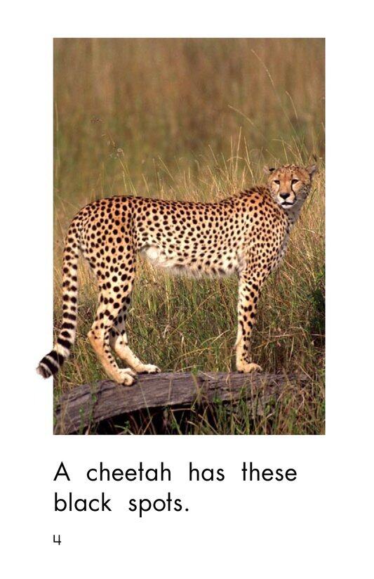 What Has These Spots绘本故事第4页