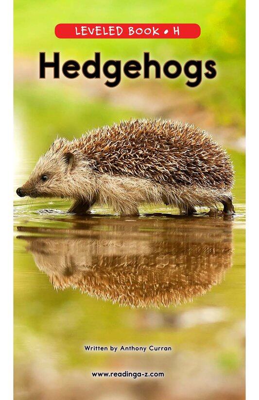 Hedgehogs绘本故事第2页