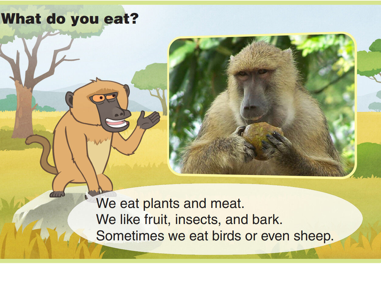 Baboon绘本故事第5页