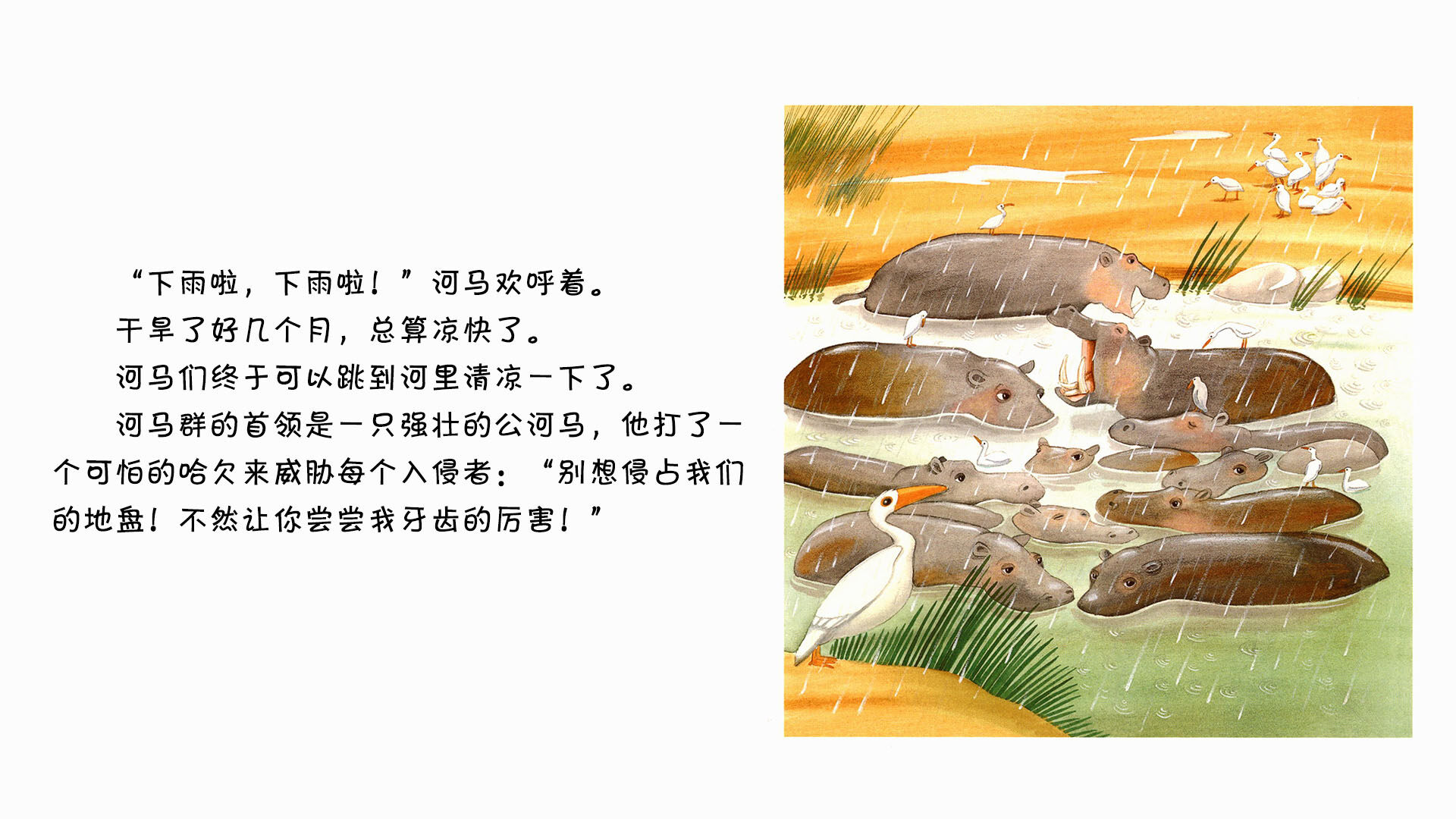 河马绘本故事第3页