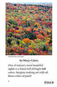 Why Do Leaves Change Color绘本故事第3页