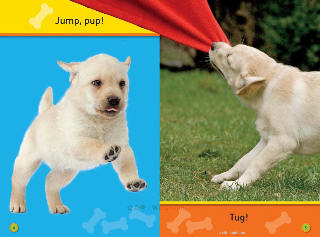 Jump Pup绘本故事第4页