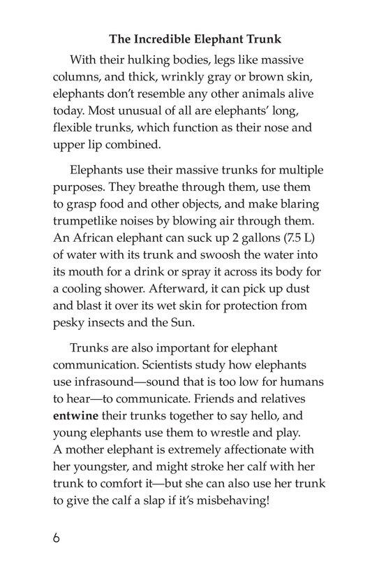 Elephants Giant Mammals绘本故事第5页