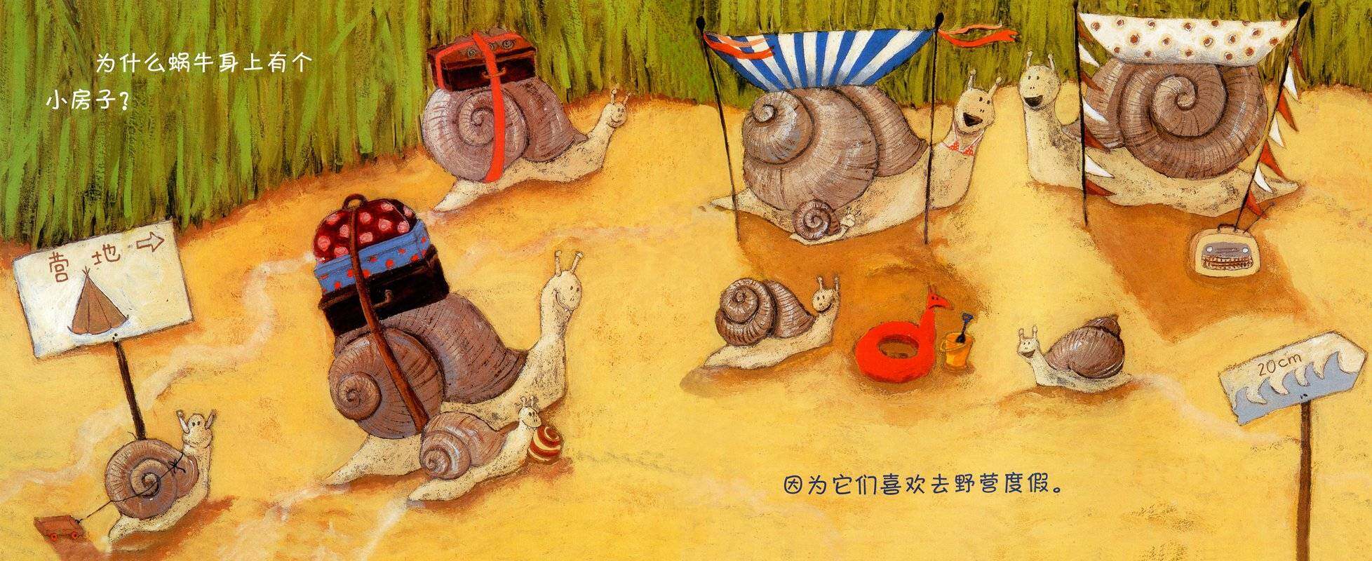 胡椒生长在哪里？绘本故事第4页