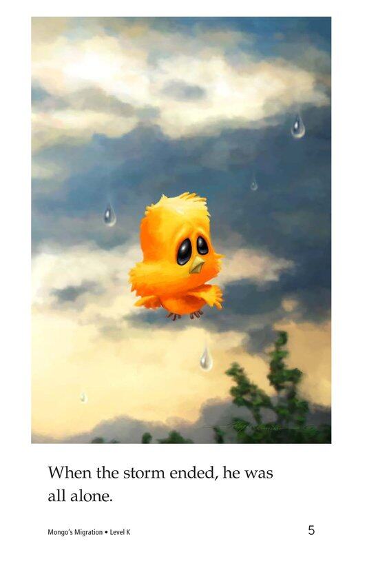 Mongo's Migration绘本故事第5页