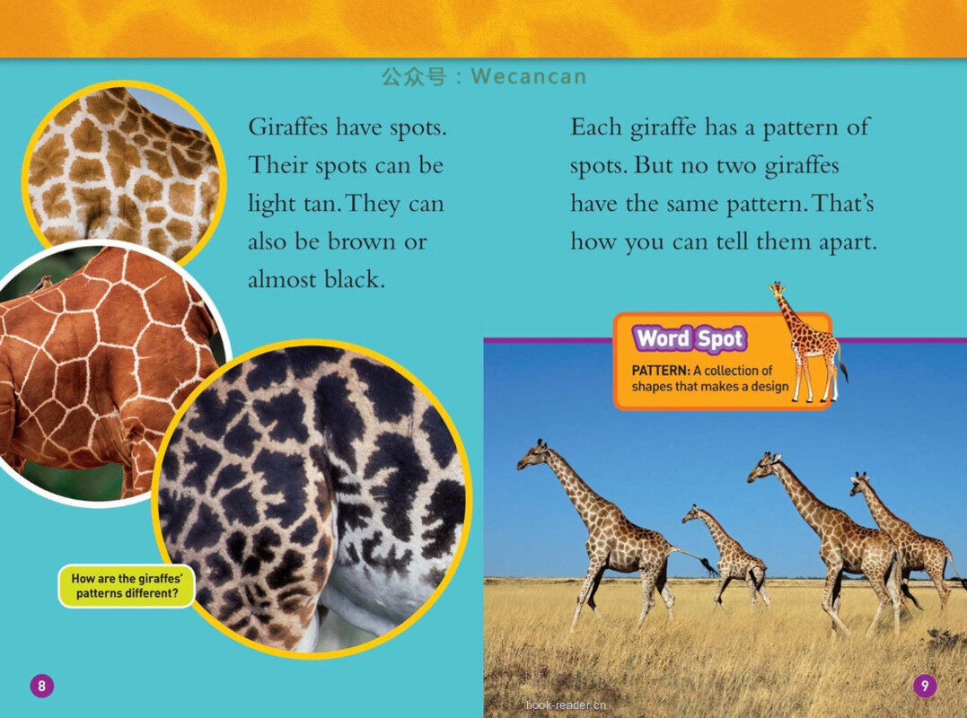 Giraffes绘本故事第5页