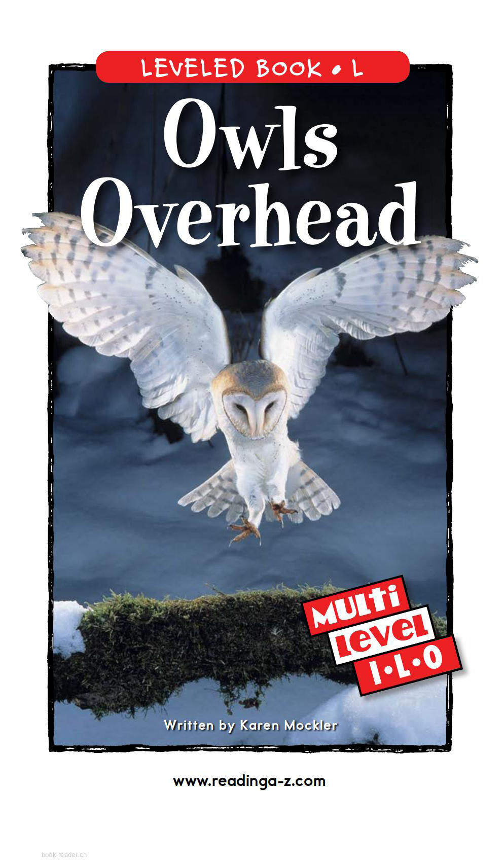 Owls Overhead绘本故事第2页