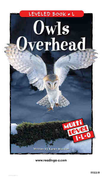 Owls Overhead绘本故事第2页