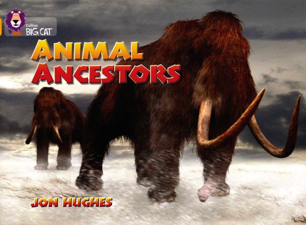 ANIMAL ANCESTORS绘本故事第2页