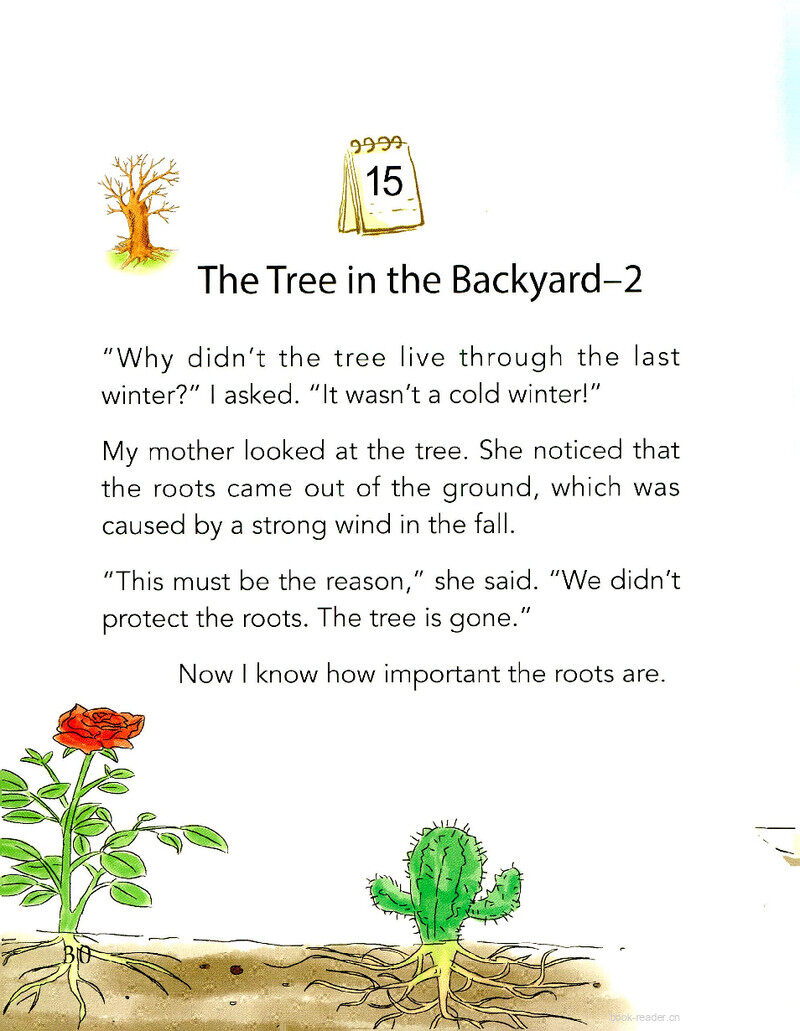 The Tree in the Backyard-2绘本故事第2页