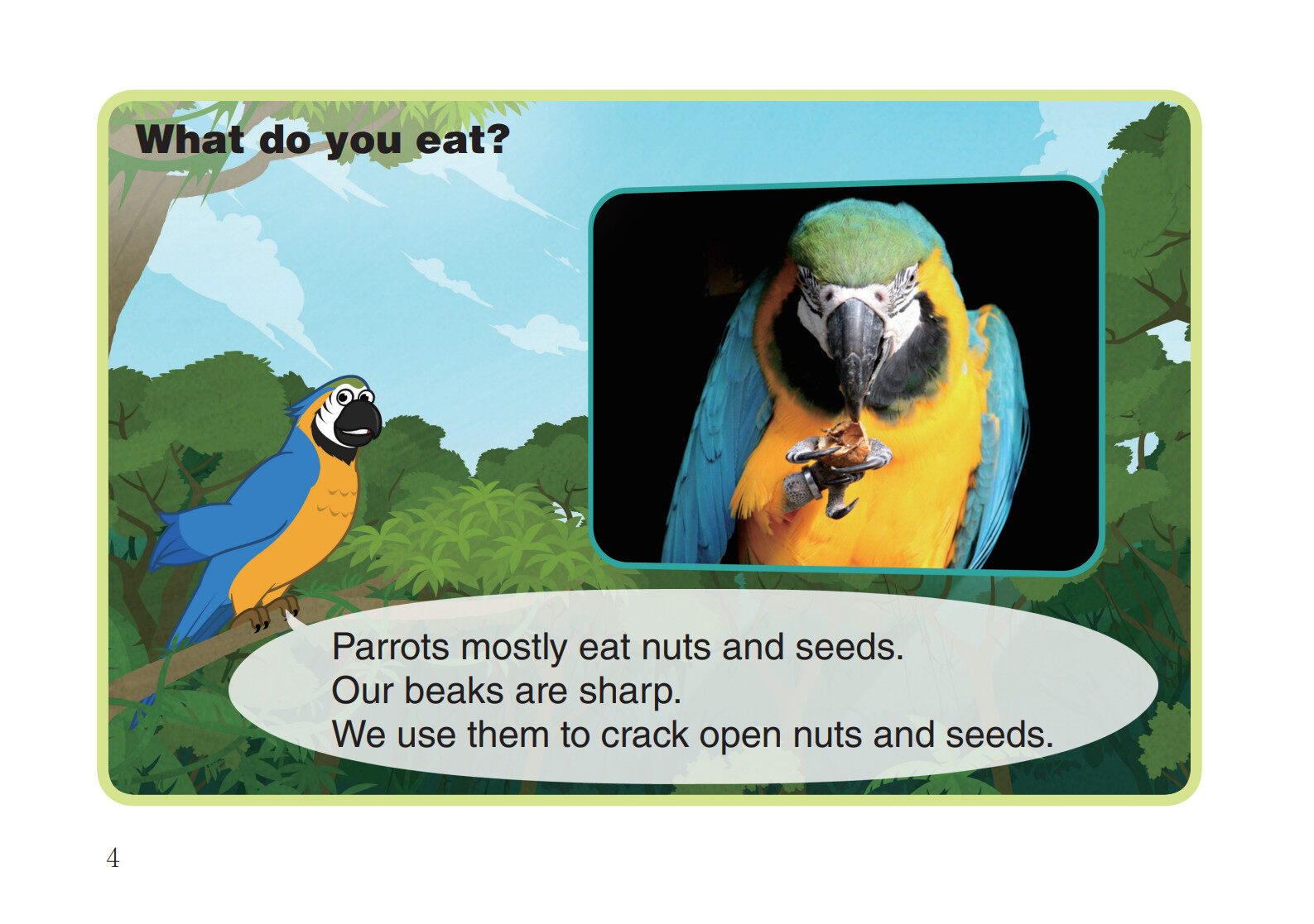 Parrot绘本故事第5页