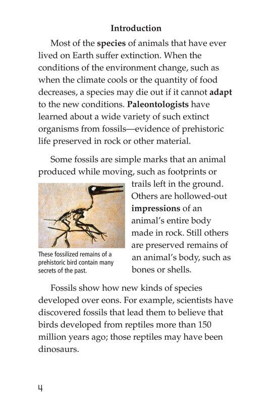 Early Birds Fossils and Feathers绘本故事第3页