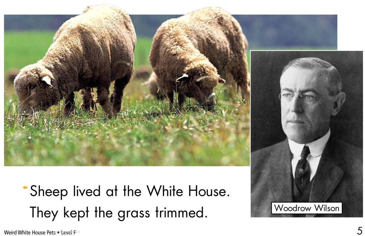 Weird White House Pets	绘本故事第4页