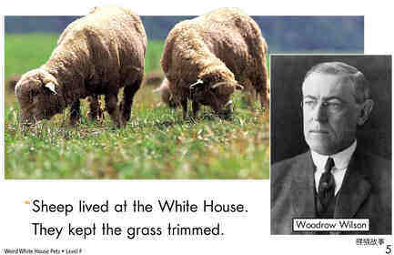 Weird White House Pets	绘本故事第4页