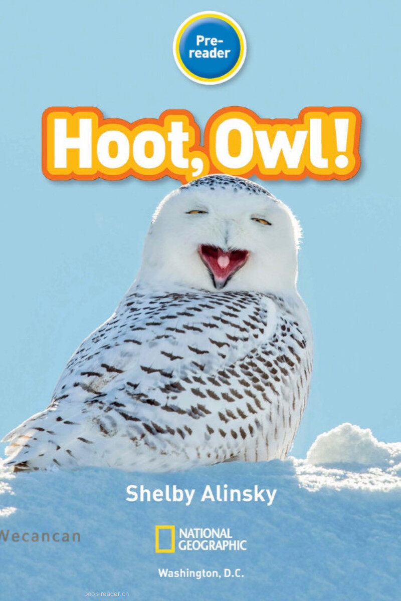 Hoot Owl绘本故事第2页