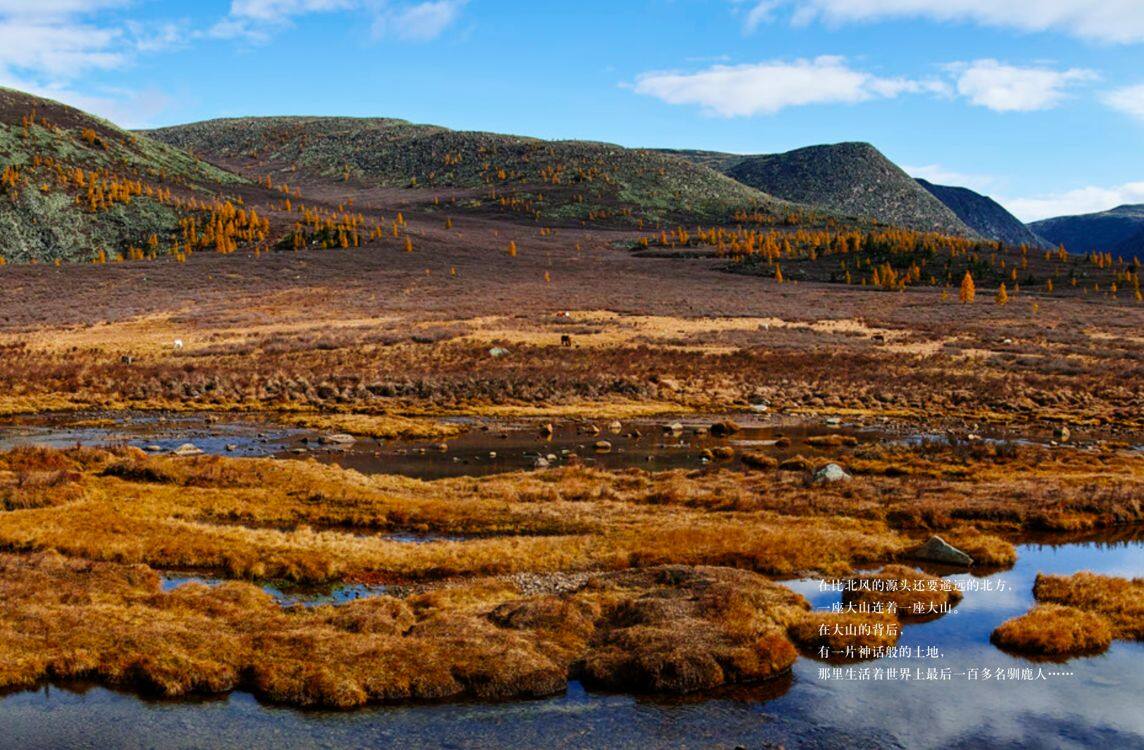 驯鹿人的孩子绘本故事第2页