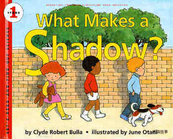 What Makes a Shadow
