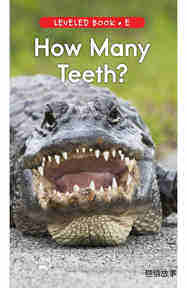 How Many Teeth