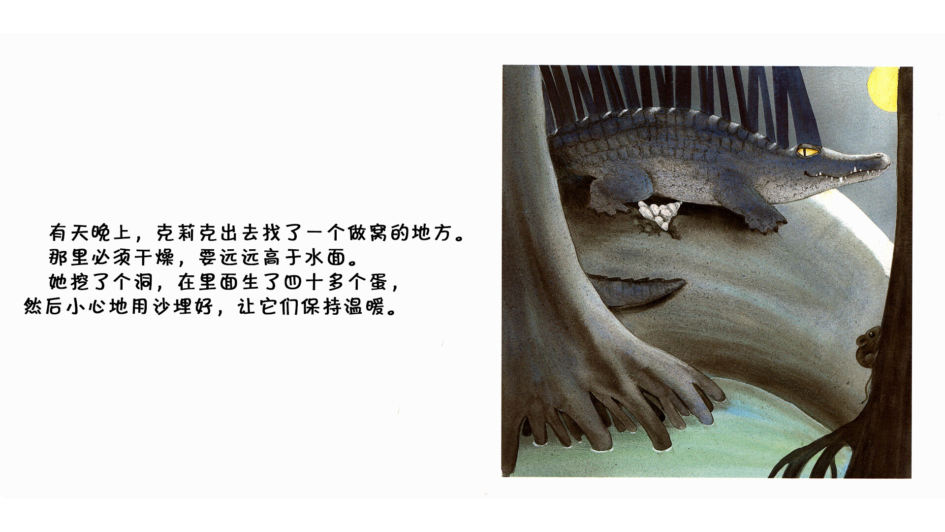 鳄鱼绘本故事第4页