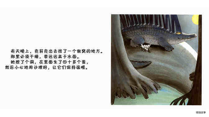 鳄鱼绘本故事第4页