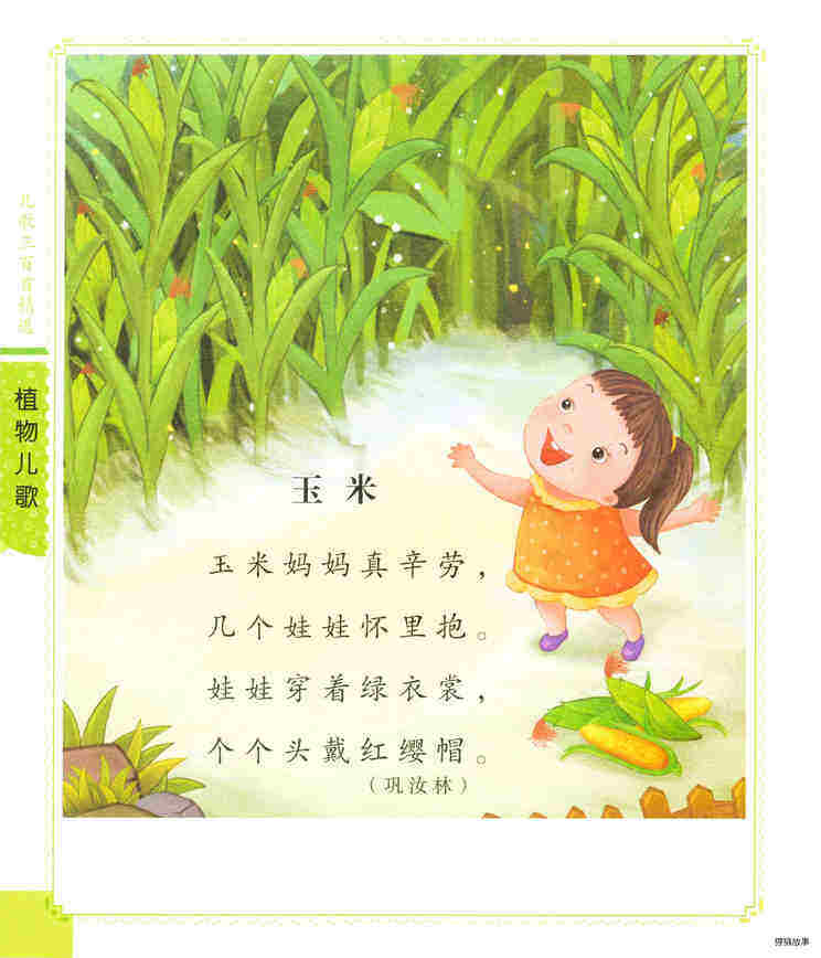玉米