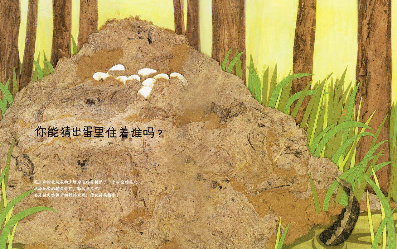 动物成长故事绘本：猜猜蛋里住着谁绘本故事第4页