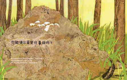 动物成长故事绘本：猜猜蛋里住着谁绘本故事第4页