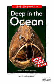 Deep in the Ocean