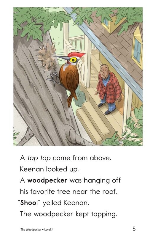 The Woodpecker绘本故事第5页