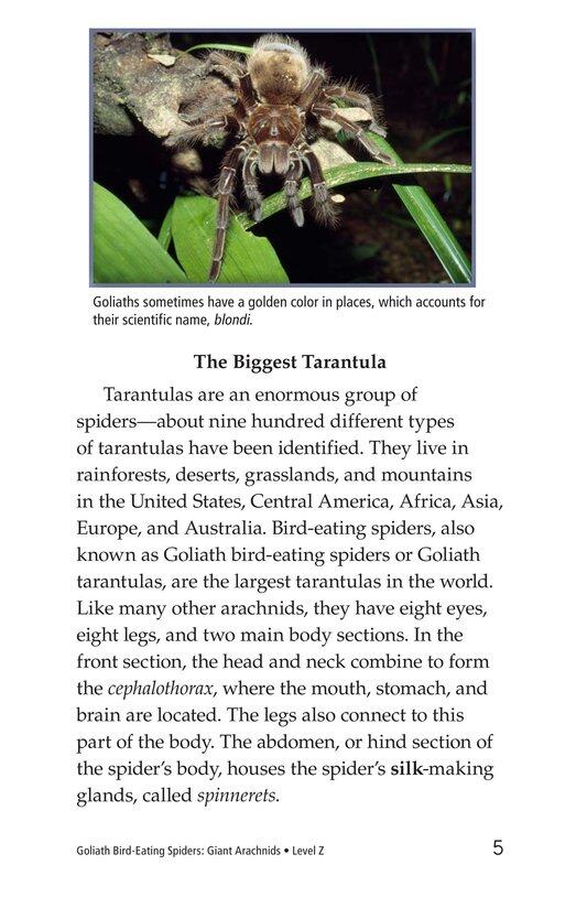 Goliath Bird Eating Spiders Giant Arachnids绘本故事第4页