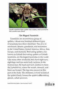 Goliath Bird Eating Spiders Giant Arachnids绘本故事第4页