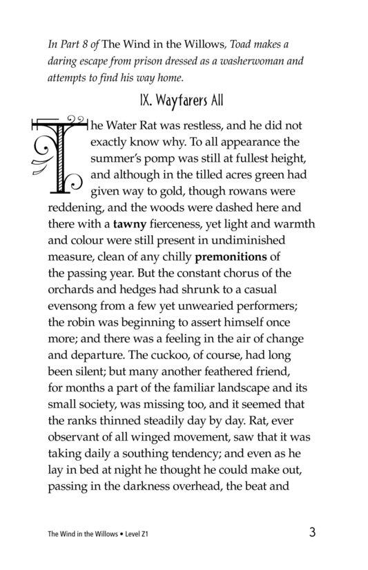 The Wind in the Willows (Part 9)绘本故事第3页