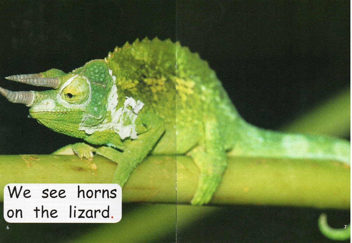 who has horns？绘本故事第5页