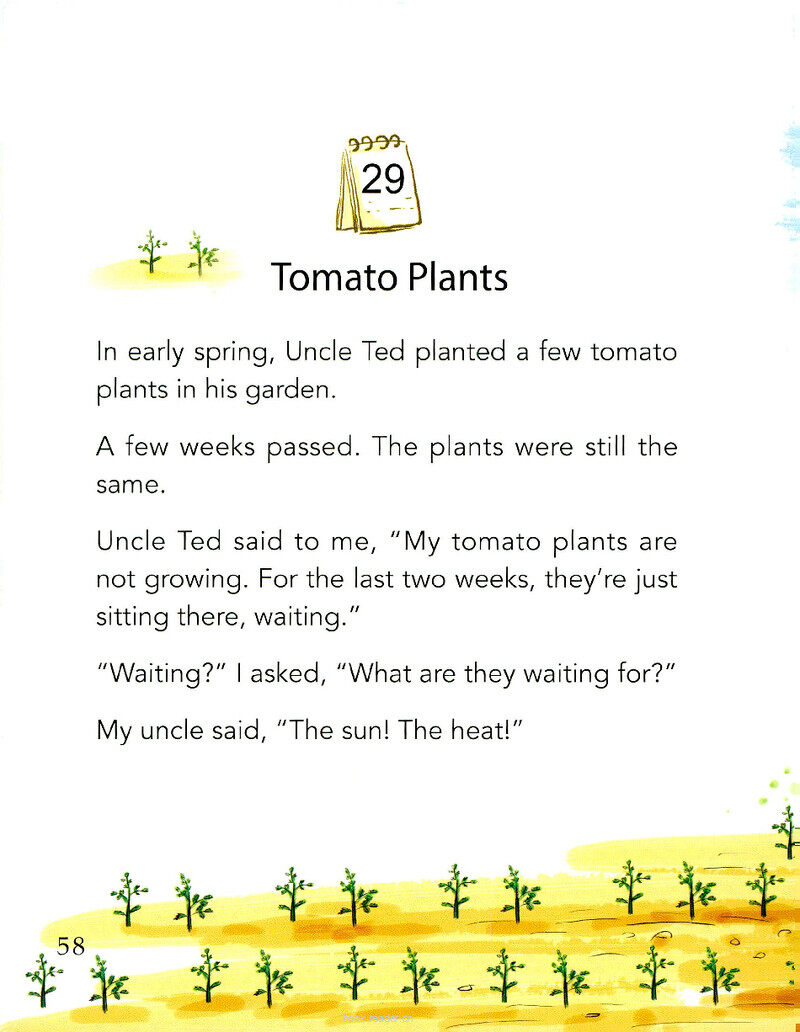 Tomato Plants绘本故事第2页